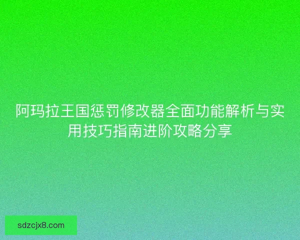 阿玛拉王国惩罚修改器全面功能解析与实用技巧指南进阶攻略分享